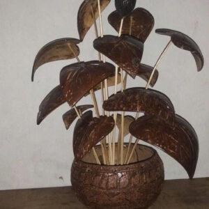 Chậu hoa gáo dừa