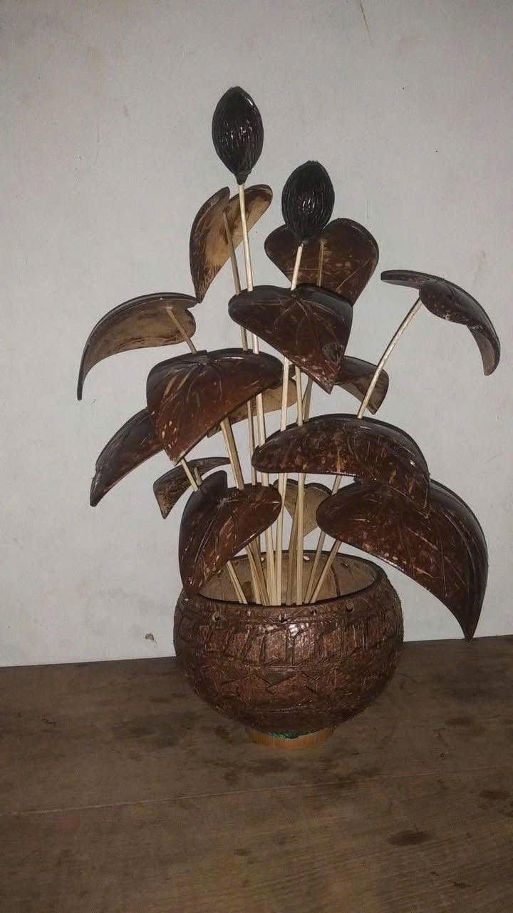 Chậu hoa gáo dừa